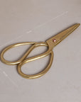 A pair of vintage-style scissors with brass handles and a sleek minimalist design, measuring 17cm in length, beautifully packaged in a brown gift box