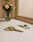 Brass Scissors styled beside freshly cut flower stems on a neutral surface near a window with a vase of blooms and soft natural light.