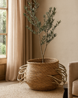 Mhosi handwoven natural basket with looped handles styled as a planter in a sunlit living room with textured rug and soft linen curtains
