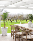 An inviting outdoor dining setting featuring natural rattan dining chairs with plush cushions, paired with a rustic timber table under a white pergola, overlooking a scenic orchard landscape.