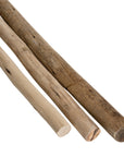 Natural eucalyptus bundles tied with black twine, perfect for adding rustic charm and coastal style to home decor.