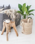 A rustic wood root stool styled in a boho-inspired lounge setting, paired with a woven basket, lush greenery, and textured furnishings for a relaxed, organic aesthetic