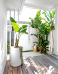 Light-filled outdoor bathroom with tropical greenery, timber deck, concrete planter, rustic magnesium oxide stool, and wall-mounted shower under a minimalist white canopy.