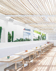 Outdoor dining area with natural wooden tables and woven seat chairs, shaded by a rustic wooden slat roof, surrounded by lush cactus plants and white walls.