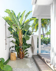 Outdoor tropical shower setup with a banana palm backdrop, magnesium oxide stool, and neutral towel hung on a white rendered wall near a poolside deck.