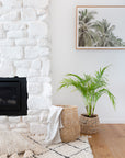 A beautifully styled corner featuring a woven natural fibre basket with a soft throw, a textured planter with lush greenery, and a white stone fireplace, creating a warm and inviting interior