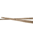 Natural eucalyptus bundles tied with black twine, perfect for adding rustic charm and coastal style to home decor.