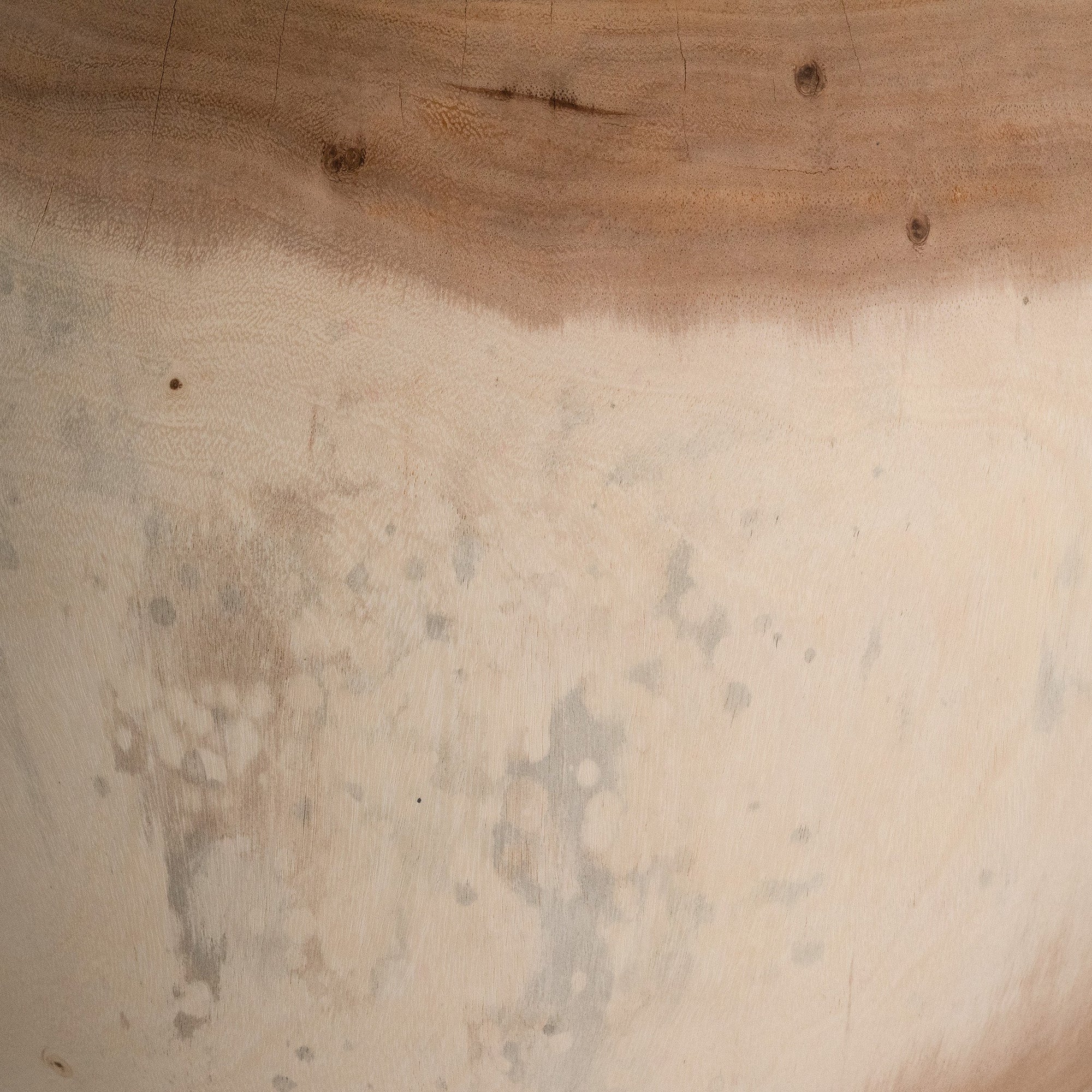 Marula bowl hand carved from solid natural wood with organic tapered shape and visible timber grain variation.