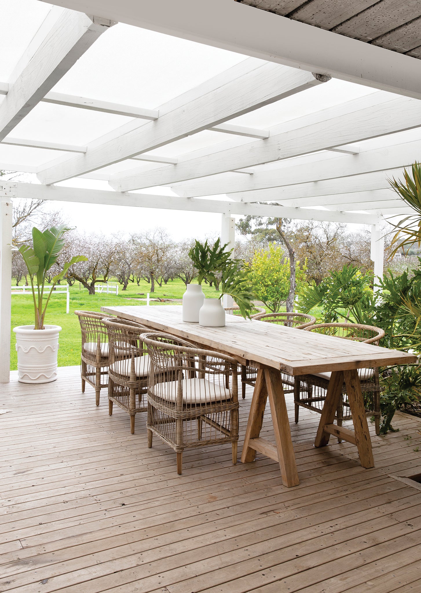 An inviting outdoor dining setting featuring natural rattan dining chairs with plush cushions, paired with a rustic timber table under a white pergola, overlooking a scenic orchard landscape.