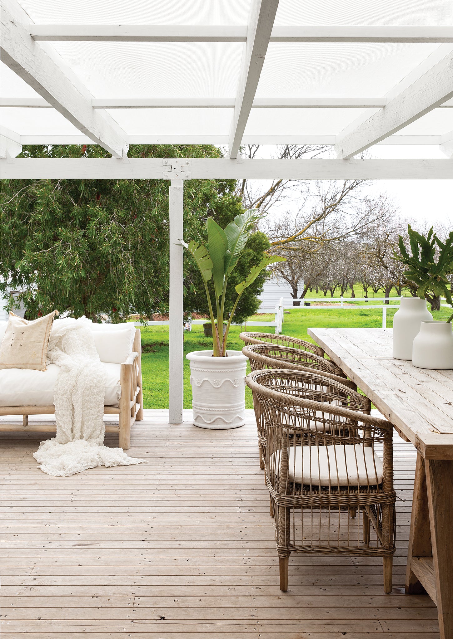 An inviting outdoor dining setting featuring natural rattan dining chairs with plush cushions, paired with a rustic timber table under a white pergola, overlooking a scenic orchard landscape