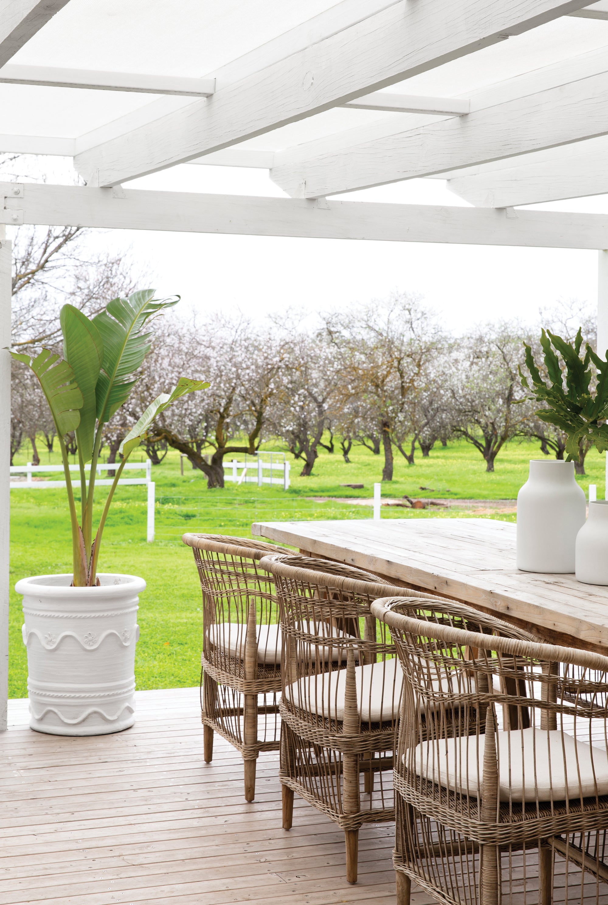 An inviting outdoor dining setting featuring natural rattan dining chairs with plush cushions, paired with a rustic timber table under a white pergola, overlooking a scenic orchard landscape.