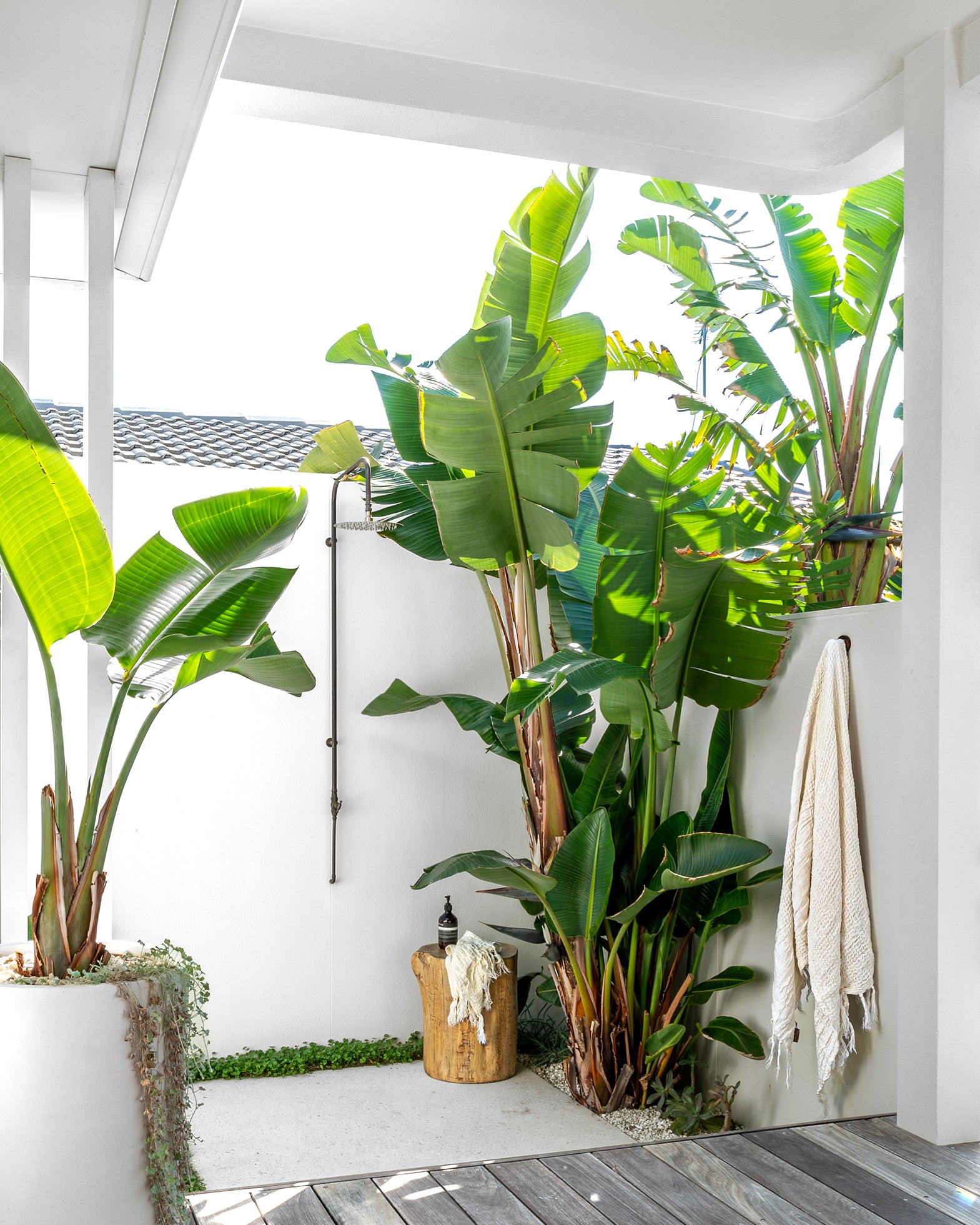 Light-filled outdoor bathroom with tropical greenery, timber deck, concrete planter, rustic magnesium oxide stool, and wall-mounted shower under a minimalist white canopy.