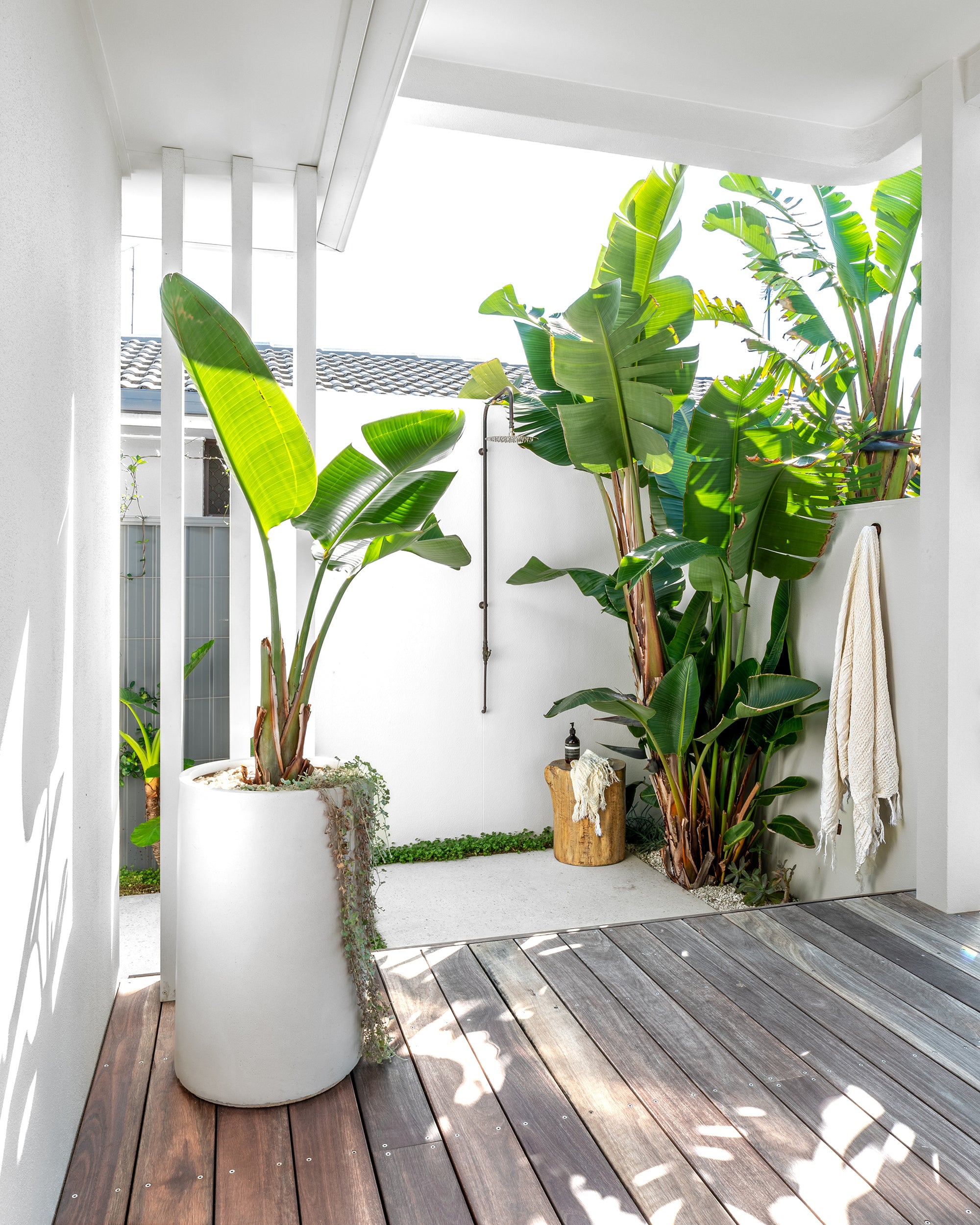 Light-filled outdoor bathroom with tropical greenery, timber deck, concrete planter, rustic magnesium oxide stool, and wall-mounted shower under a minimalist white canopy.