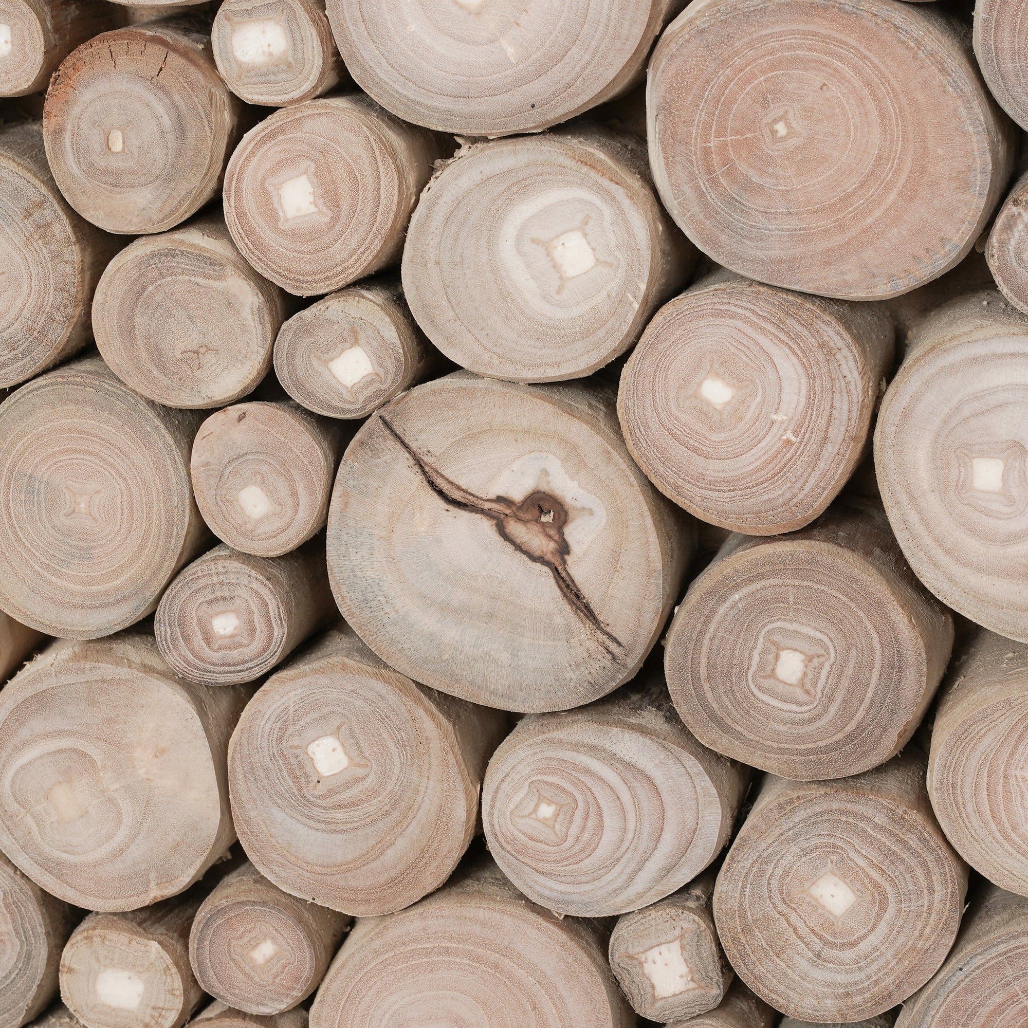A round coffee table crafted from natural teak branches, arranged in a drum-style design. The organic texture and neutral tones make it a statement piece for coastal and contemporary interiors.