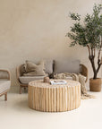 A beautifully styled living space featuring the Kulala Living Teak Drum Coffee Table. Crafted from natural teak branches, this round coffee table complements a neutral-toned sofa, textured cushions, and an olive tree, creating a serene and organic aesthetic