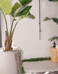 Outdoor tropical shower setup with a banana palm backdrop, magnesium oxide stool, and neutral towel hung on a white rendered wall near a poolside deck.