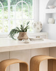 KULALA Living Elula Counter Stools in natural oak featured in a contemporary white kitchen with curved travertine benchtop and rustic accents