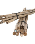 Natural eucalyptus bundles tied with black twine, perfect for adding rustic charm and coastal style to home decor.