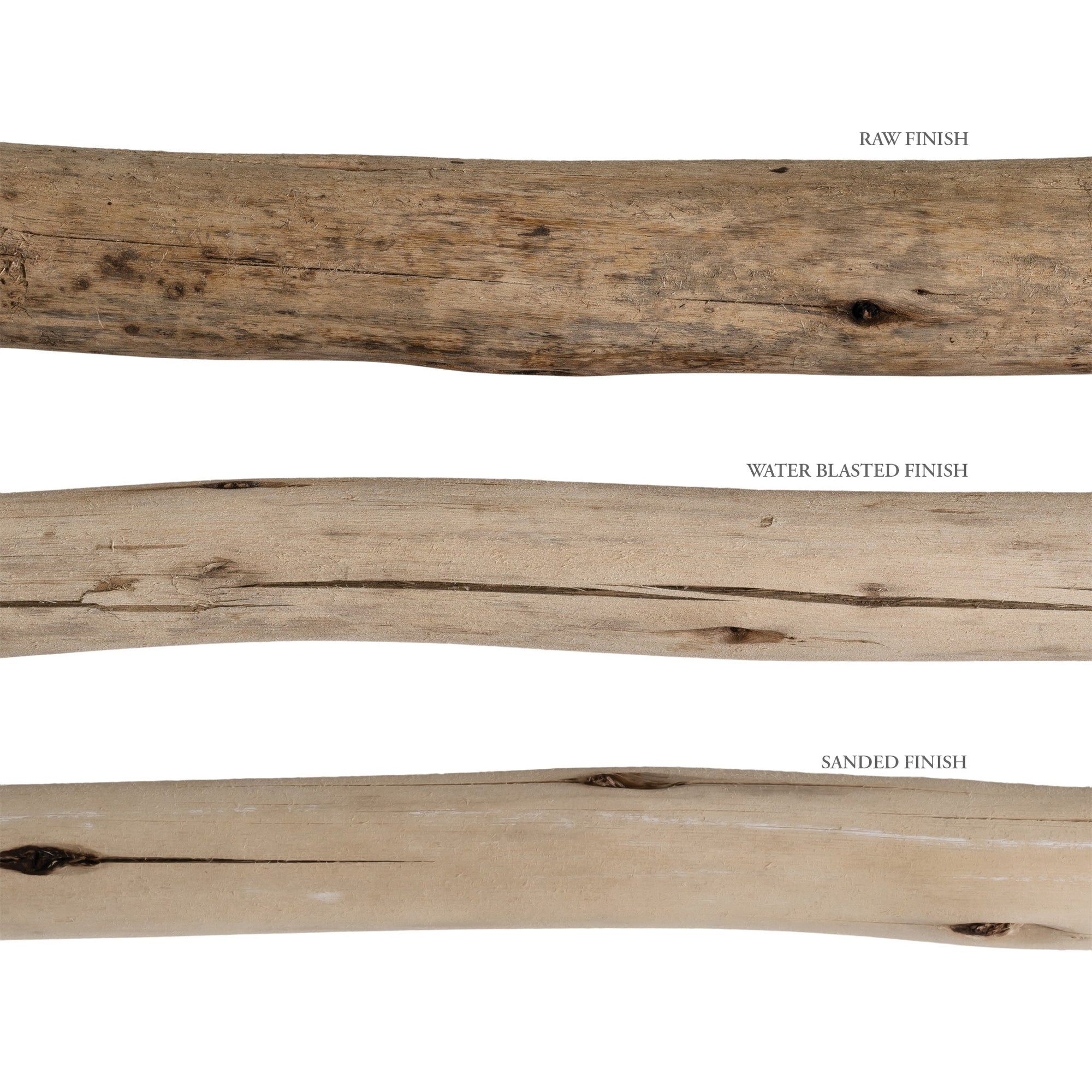 Natural eucalyptus bundles tied with black twine, perfect for adding rustic charm and coastal style to home decor.