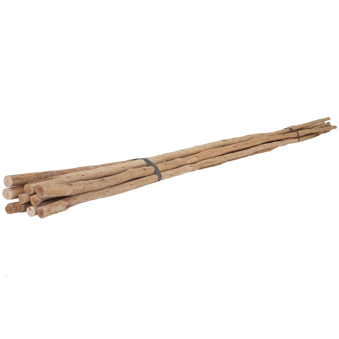 Natural eucalyptus bundles tied with black twine, perfect for adding rustic charm and coastal style to home decor.