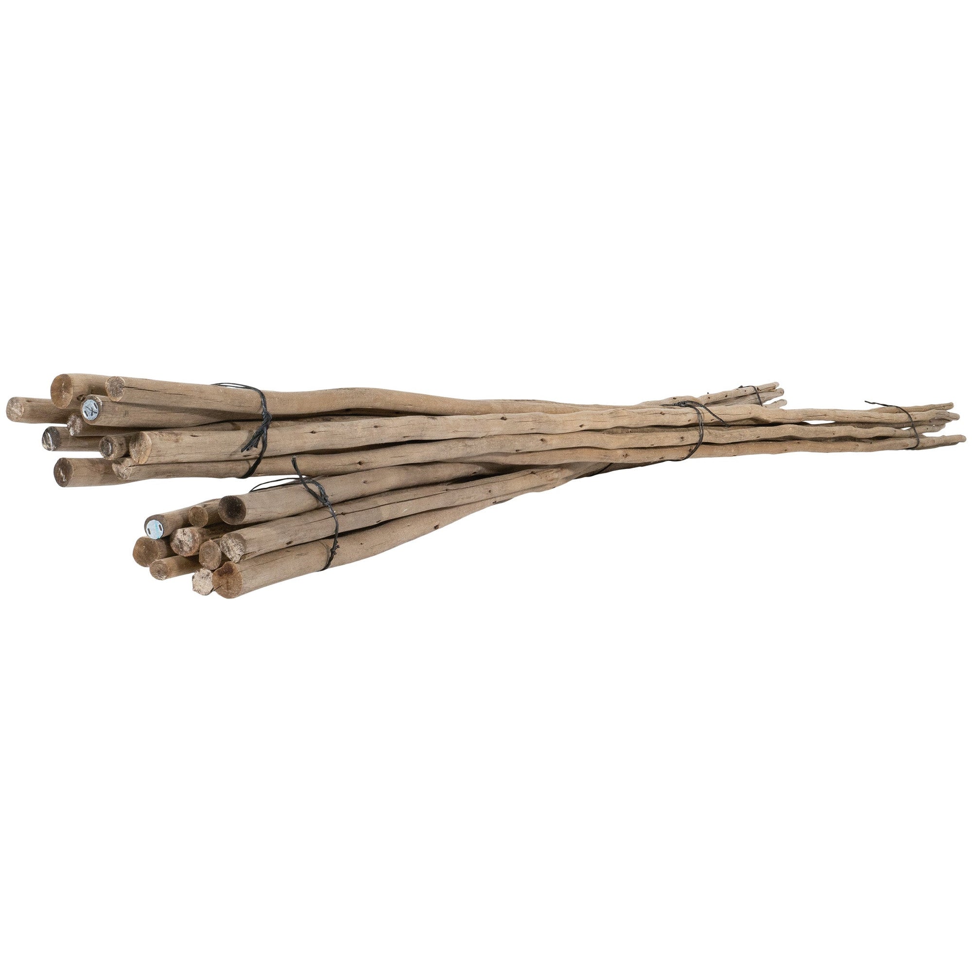 Natural eucalyptus bundles tied with black twine, perfect for adding rustic charm and coastal style to home decor.