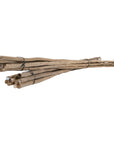 Natural eucalyptus bundles tied with black twine, perfect for adding rustic charm and coastal style to home decor.