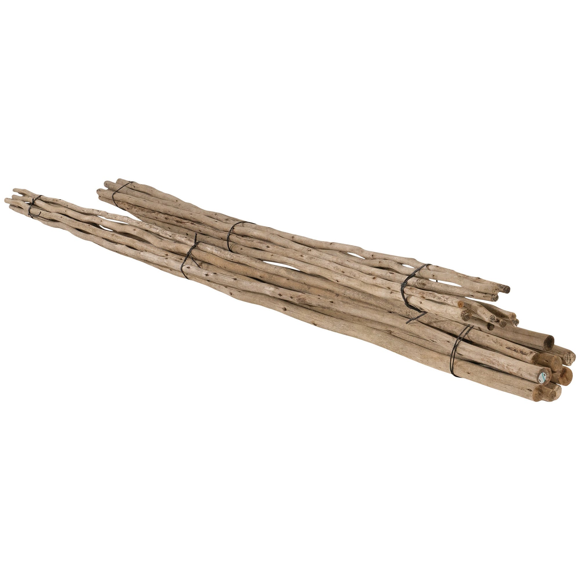 Natural eucalyptus bundles tied with black twine, perfect for adding rustic charm and coastal style to home decor.
