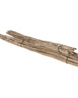 Natural eucalyptus bundles tied with black twine, perfect for adding rustic charm and coastal style to home decor.