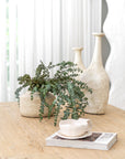 Old Barn Coffee Table KULALA Living